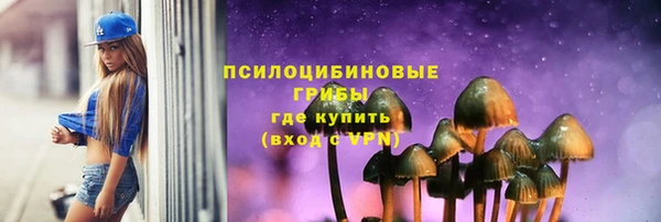 2c-b Инта
