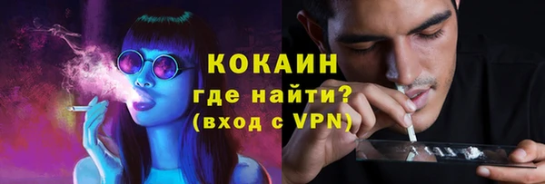 дмт Каменногорск