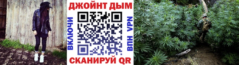 Бошки Шишки THC 21%  ссылка на мегу маркетплейс  Светогорск 